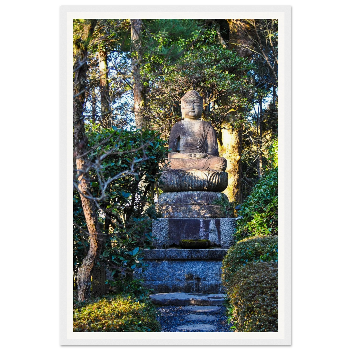 b3225990-be65-4088-b81b-6807cde315ab