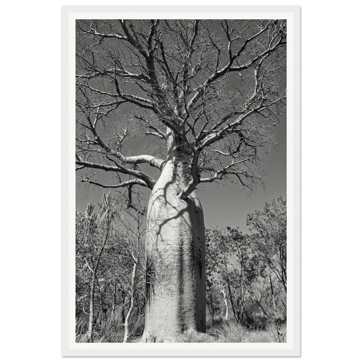 b4e39c1d-cc0c-4c32-9956-172d36b4b2fe