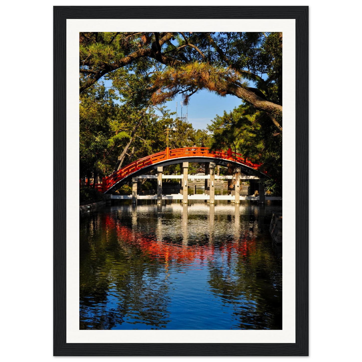 b613fe0e-aa67-4e32-9d2b-88c1e152d304