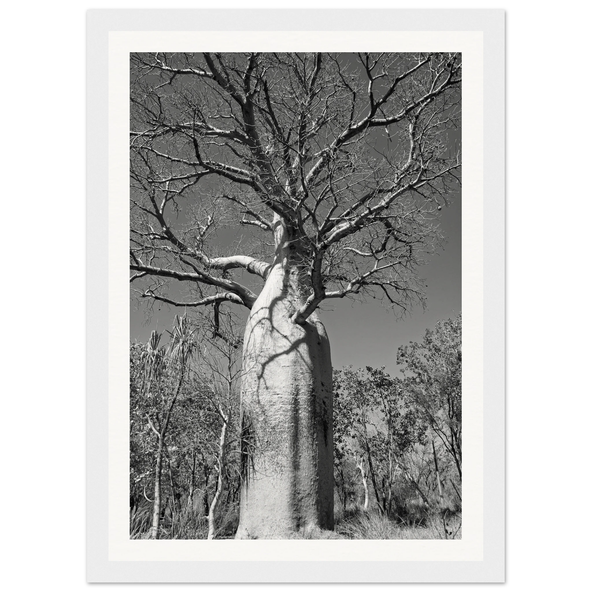 b645ef84-4dac-4b6a-b360-ce31554ac5ac