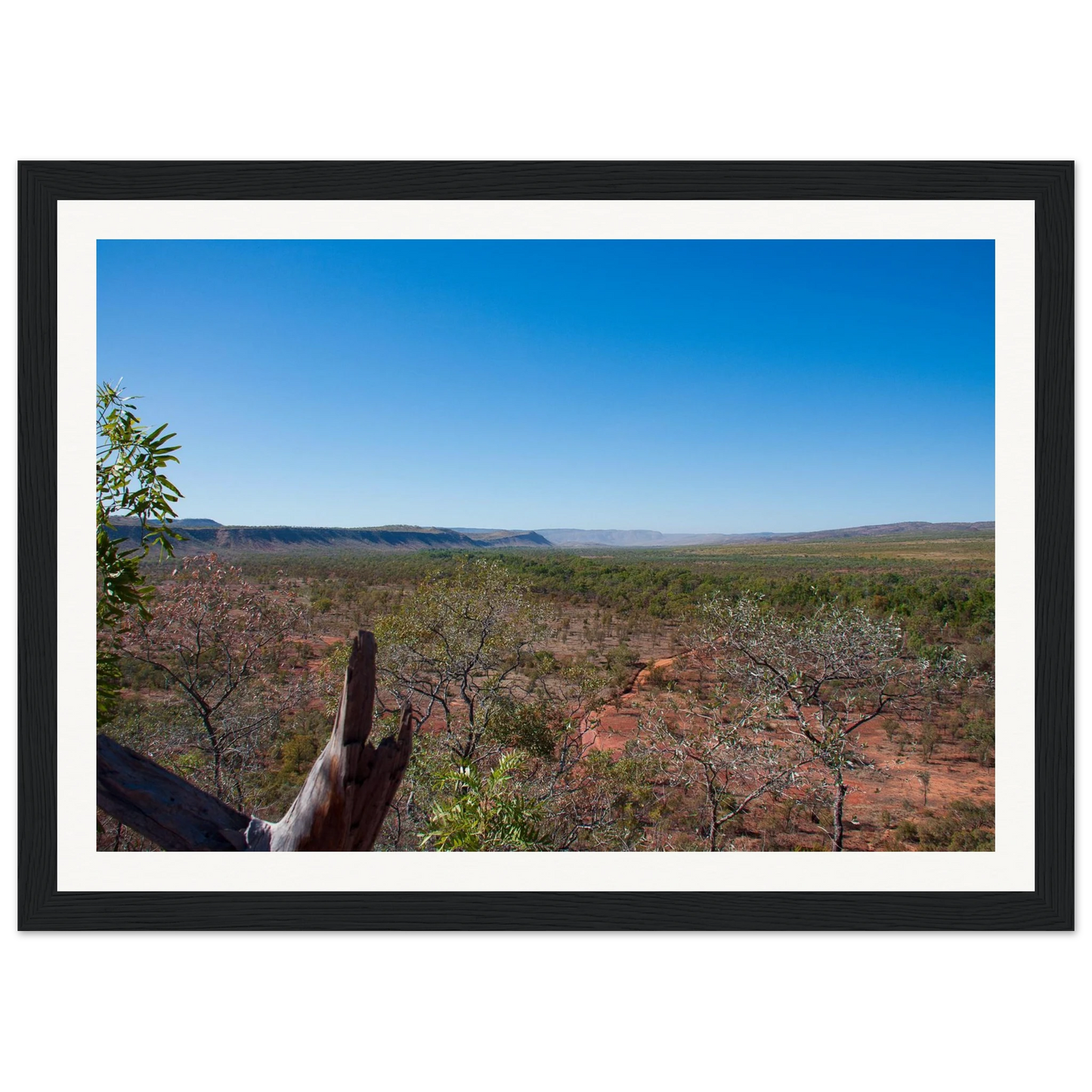 b733cf5f-a9b6-4bd7-988c-298f43426d65