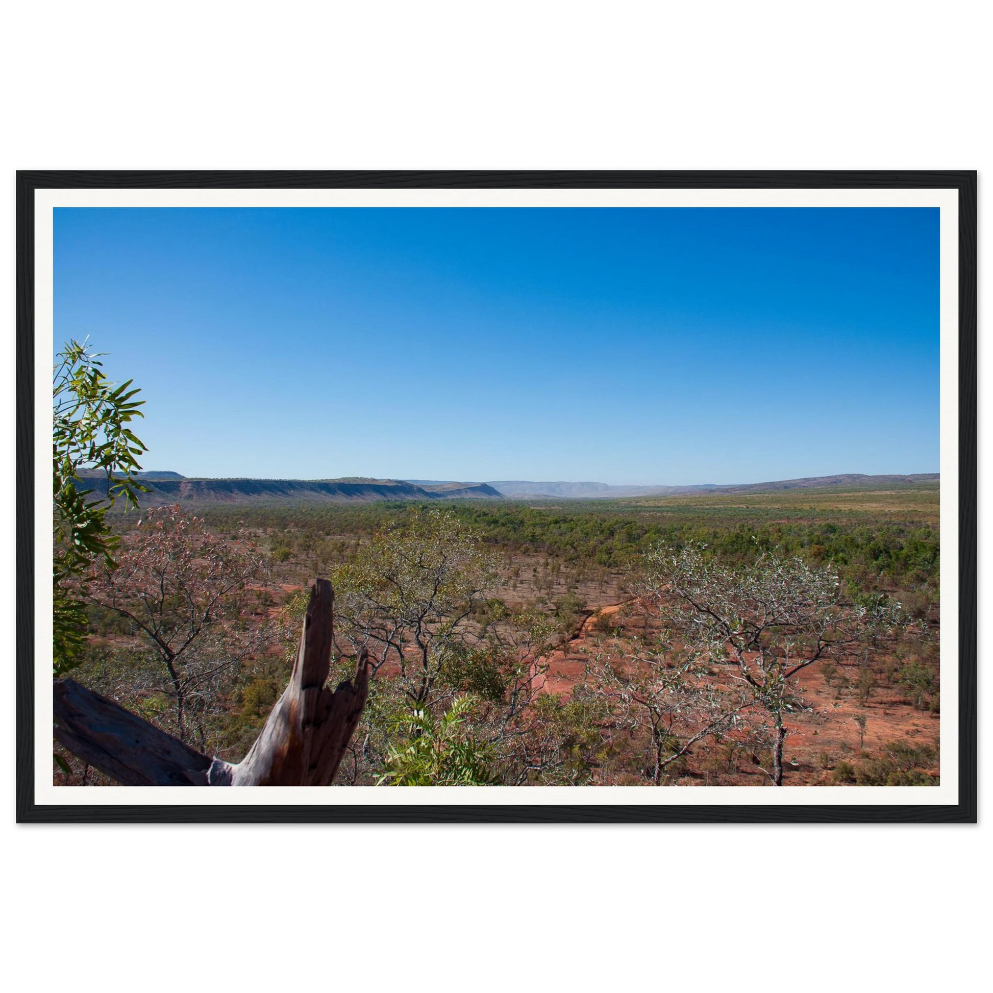 Kimberley Horizon — El Questro Lookout. Fine-art landscape photograph of the panoramic Kimberley horizon viewed from El Questro Lookout, Western Australia. Framed wooden poster · Made-to-order · Free Australia-wide shipping. — Two Fat Bunnies.