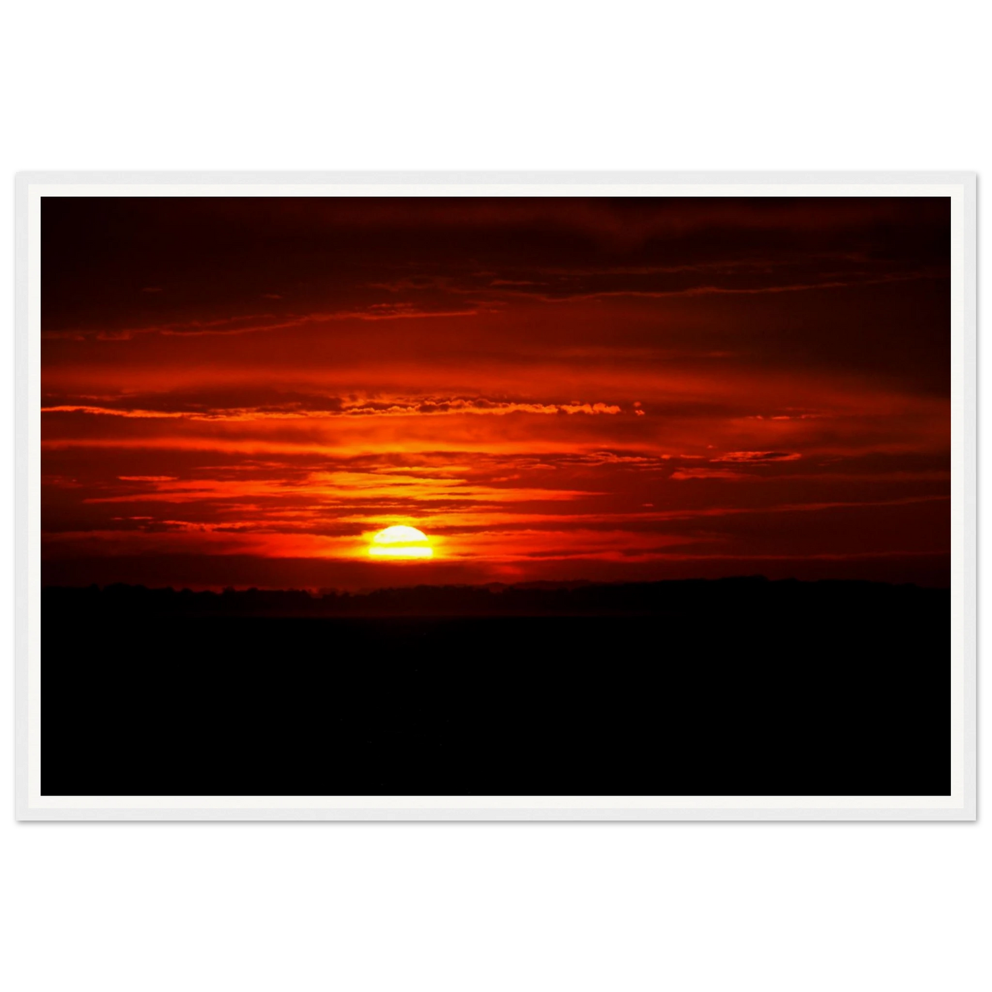 c18baec8-06d4-4ef8-9f2e-08eb13da591a