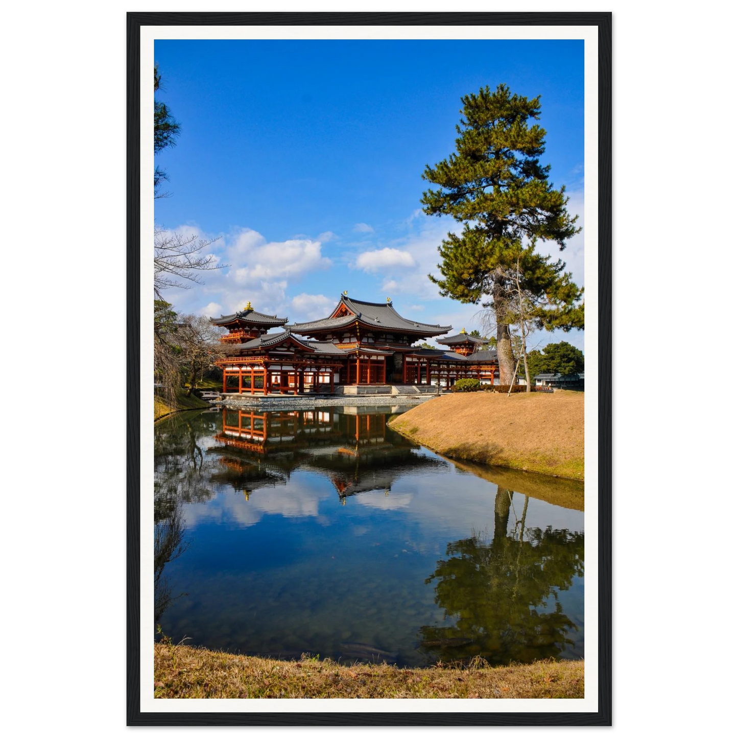 c42454f0-cec1-4d05-8e3b-4ba56ba50938