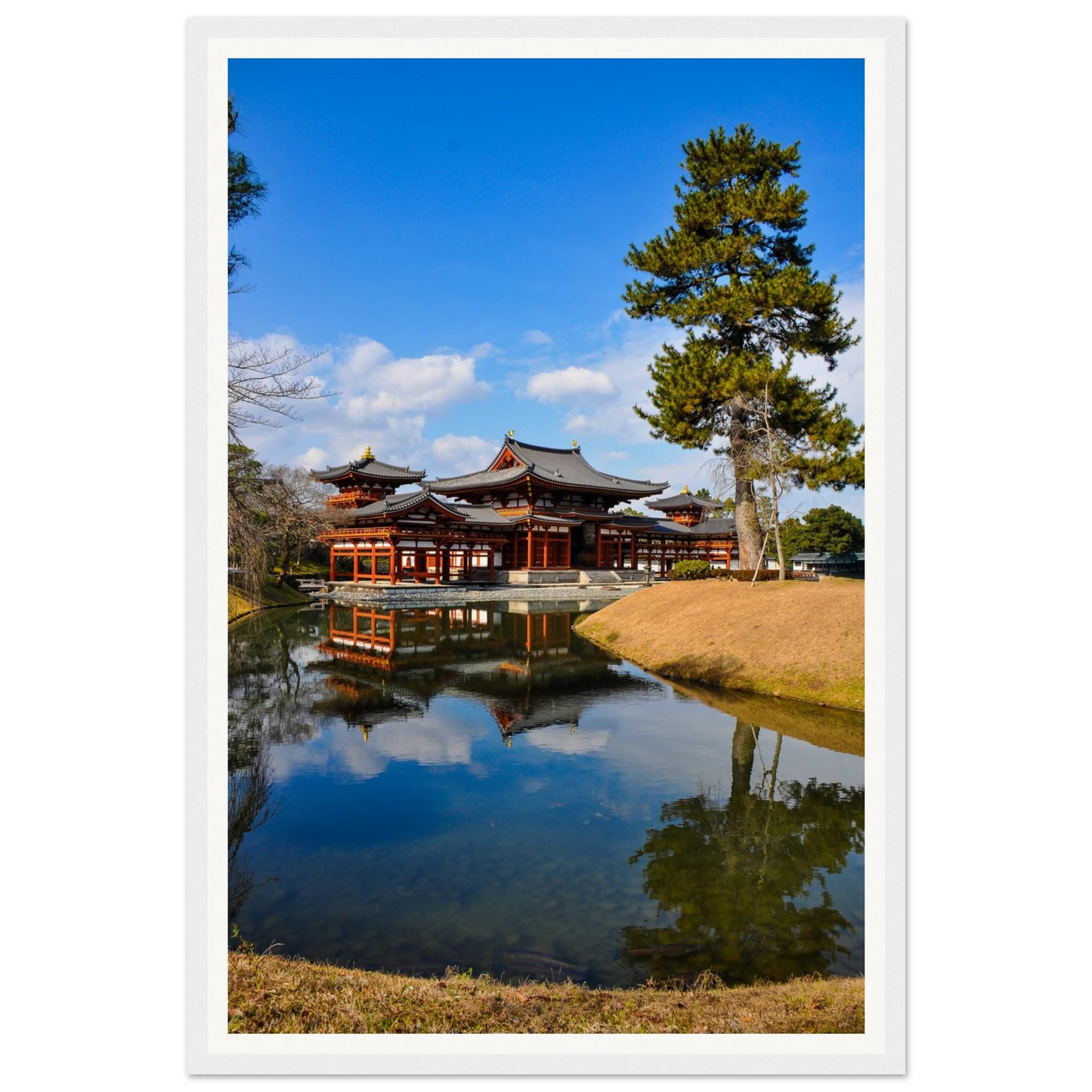 c6c5b83d-c08c-451a-9e22-c74267b55664