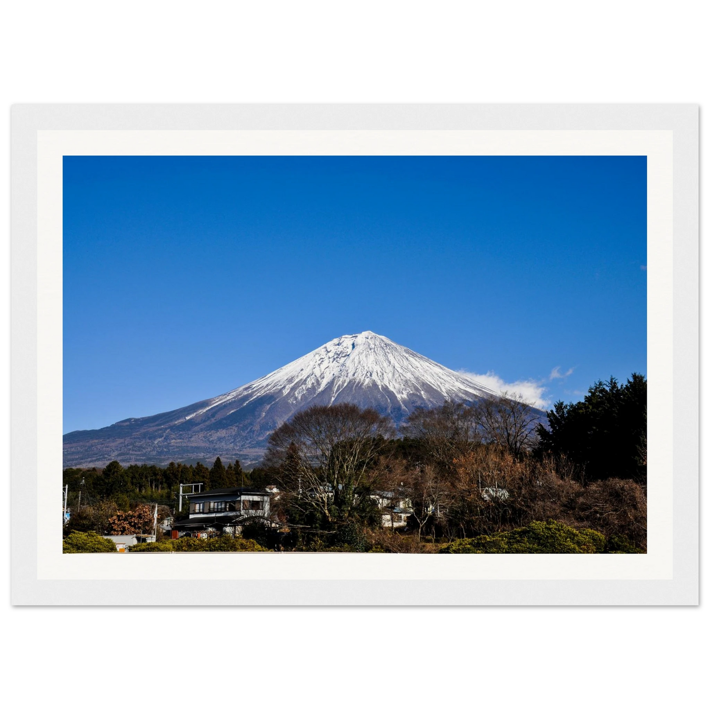 c7500903-c705-4bbf-bc42-f135e918b4fc