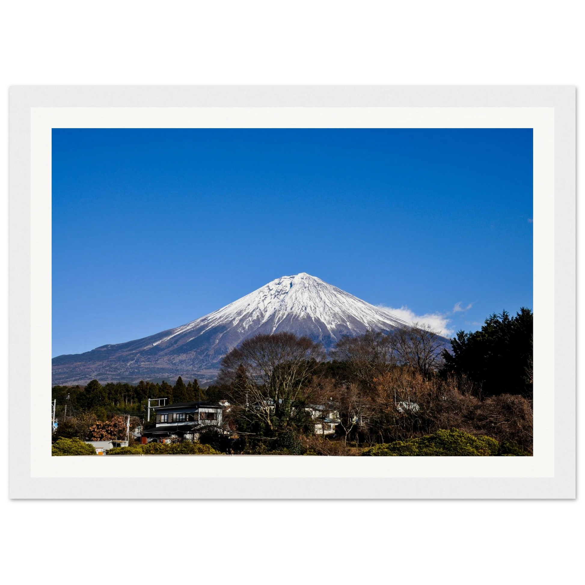 c7500903-c705-4bbf-bc42-f135e918b4fc