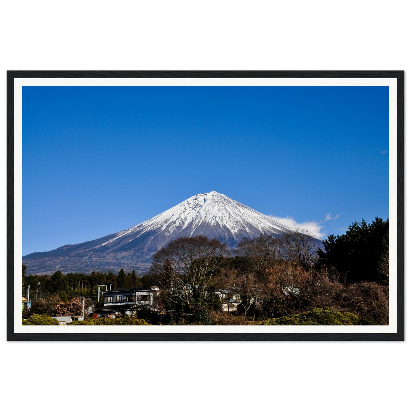 ca35d355-5c29-4074-b908-351c0b02b869