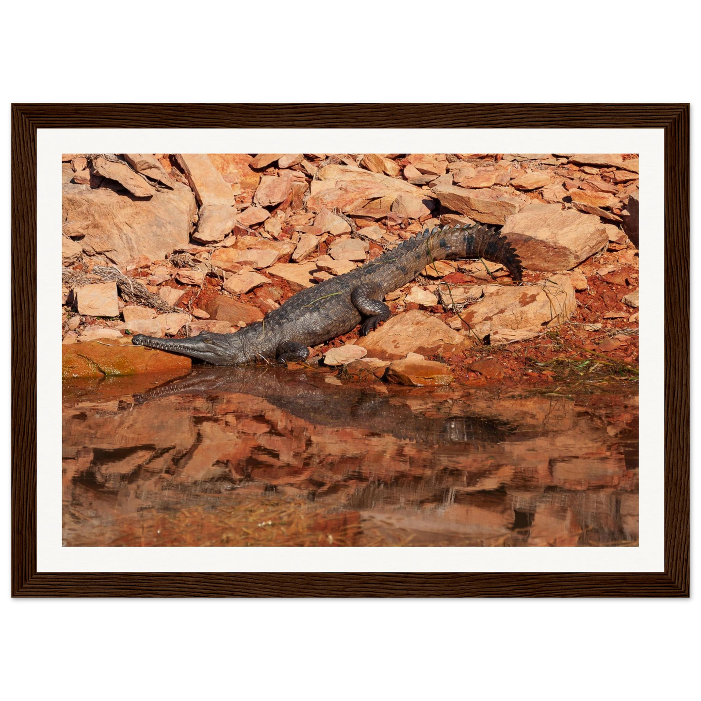 cc695824-4172-4f7f-85be-fcf93cf784b7