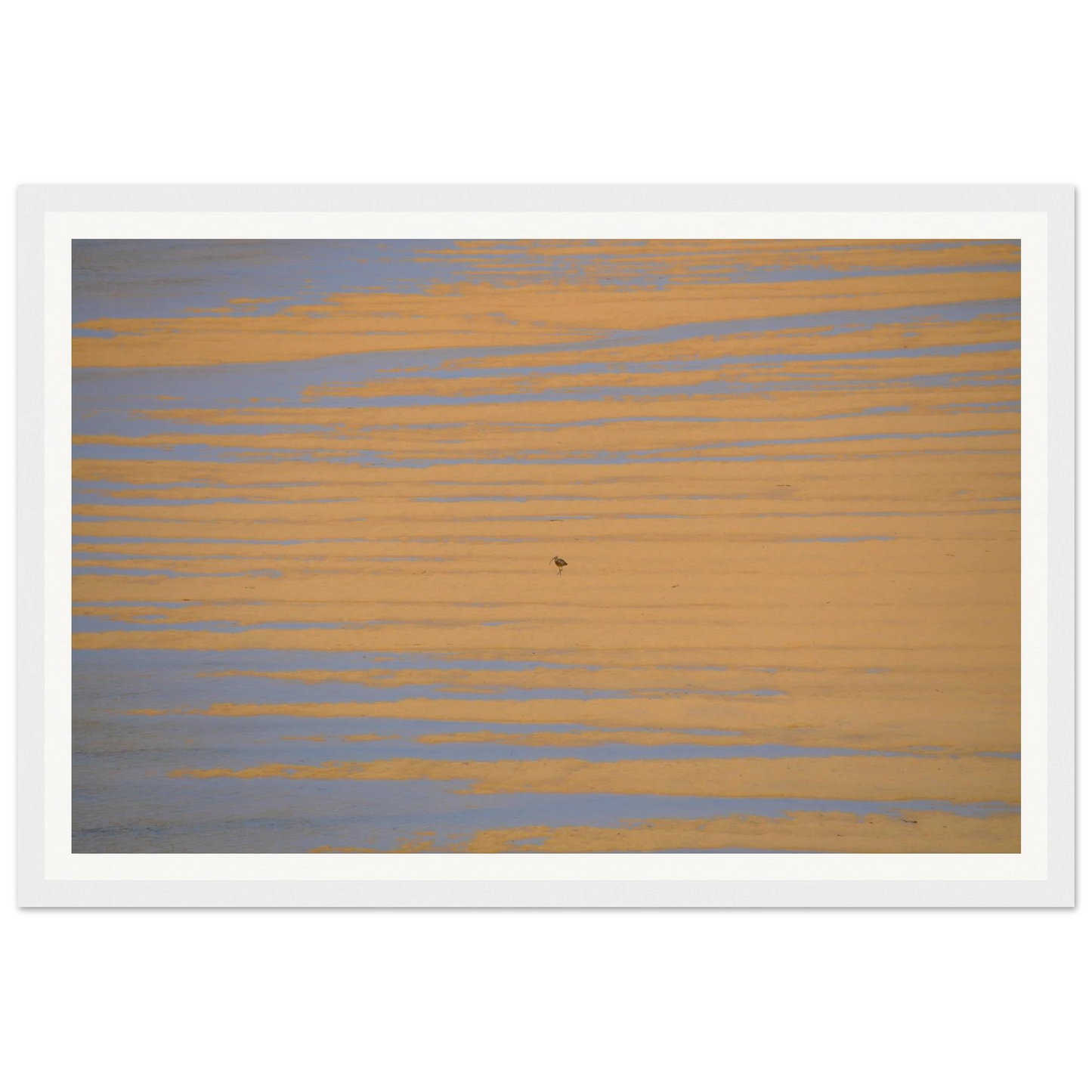 cc768ff8-151b-4fc3-910c-7bbc4ae548bc