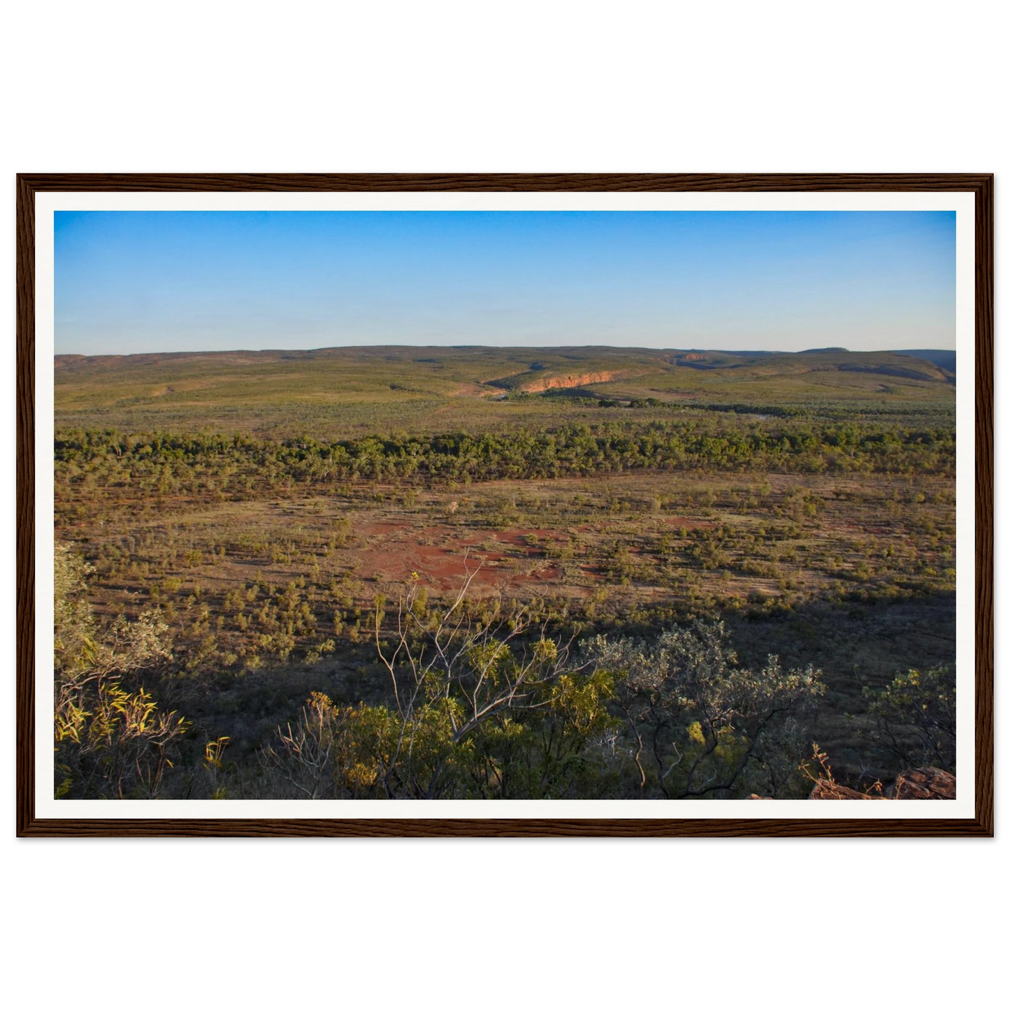 ccc11e77-ad23-43d0-b9af-1cf870f5cbc2