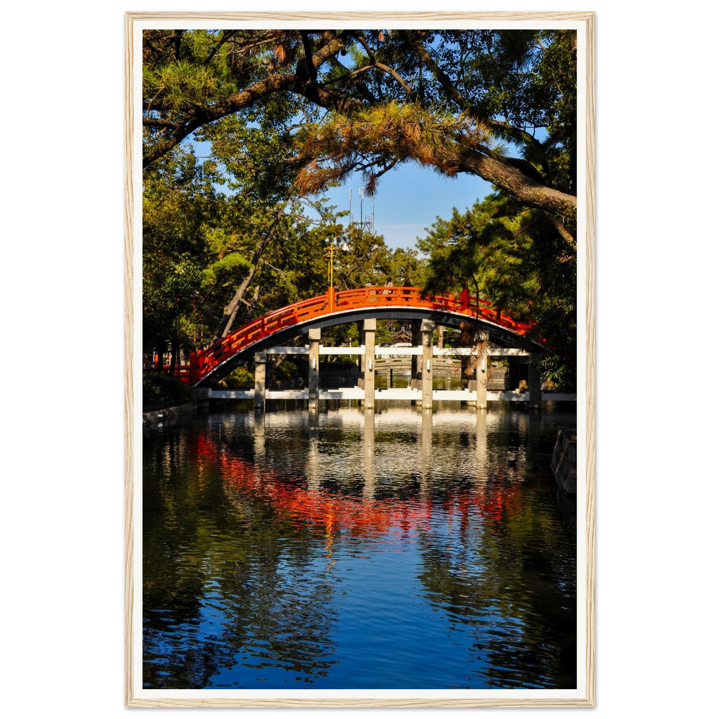 cd6d980b-7a84-4823-b338-82e4bb43eefd