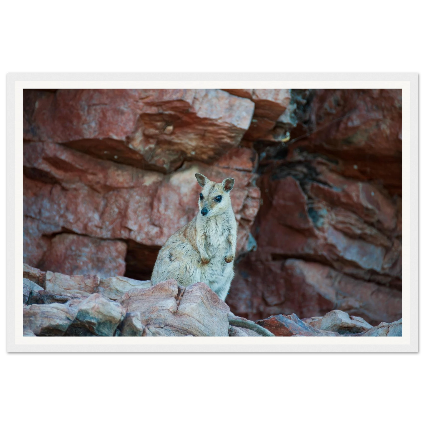 d5b53dd7-d7c6-4bb8-9db8-b57032154196