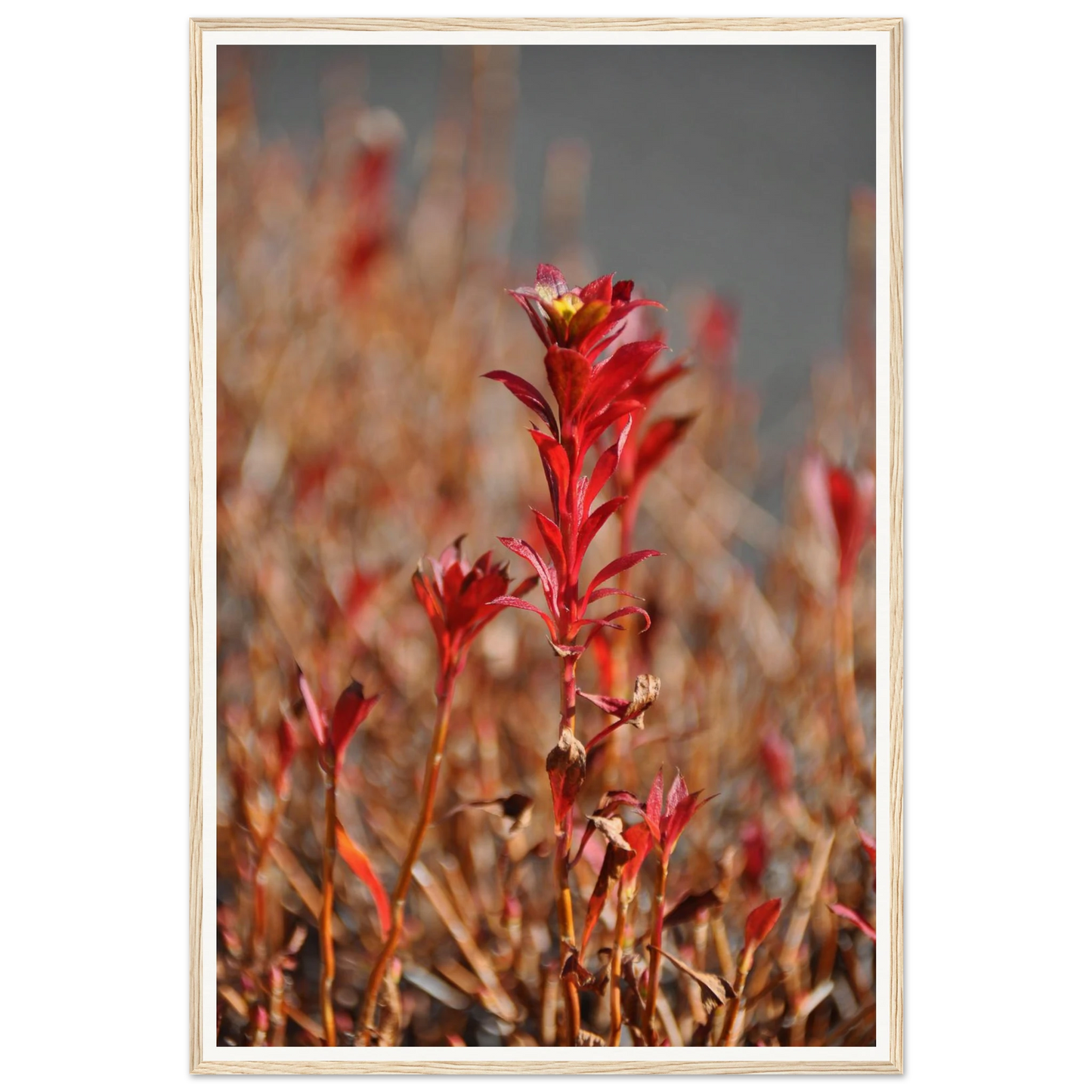 d60a055f-0782-435b-9f3b-577756dbf4ad