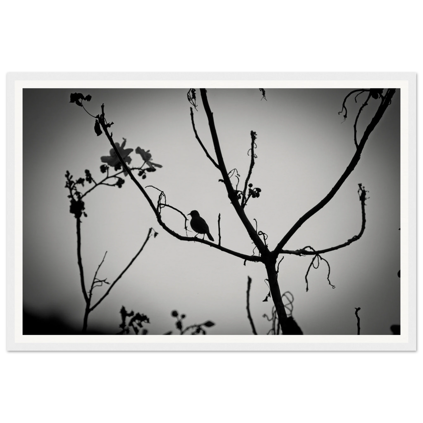 d910e0ad-92f5-447b-b608-7193c97af77c