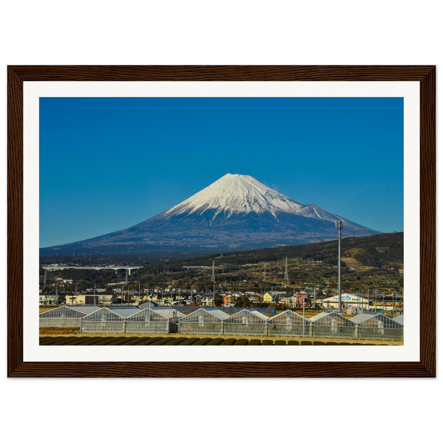 dc8b381f-7972-455c-b6c9-85972df2febb