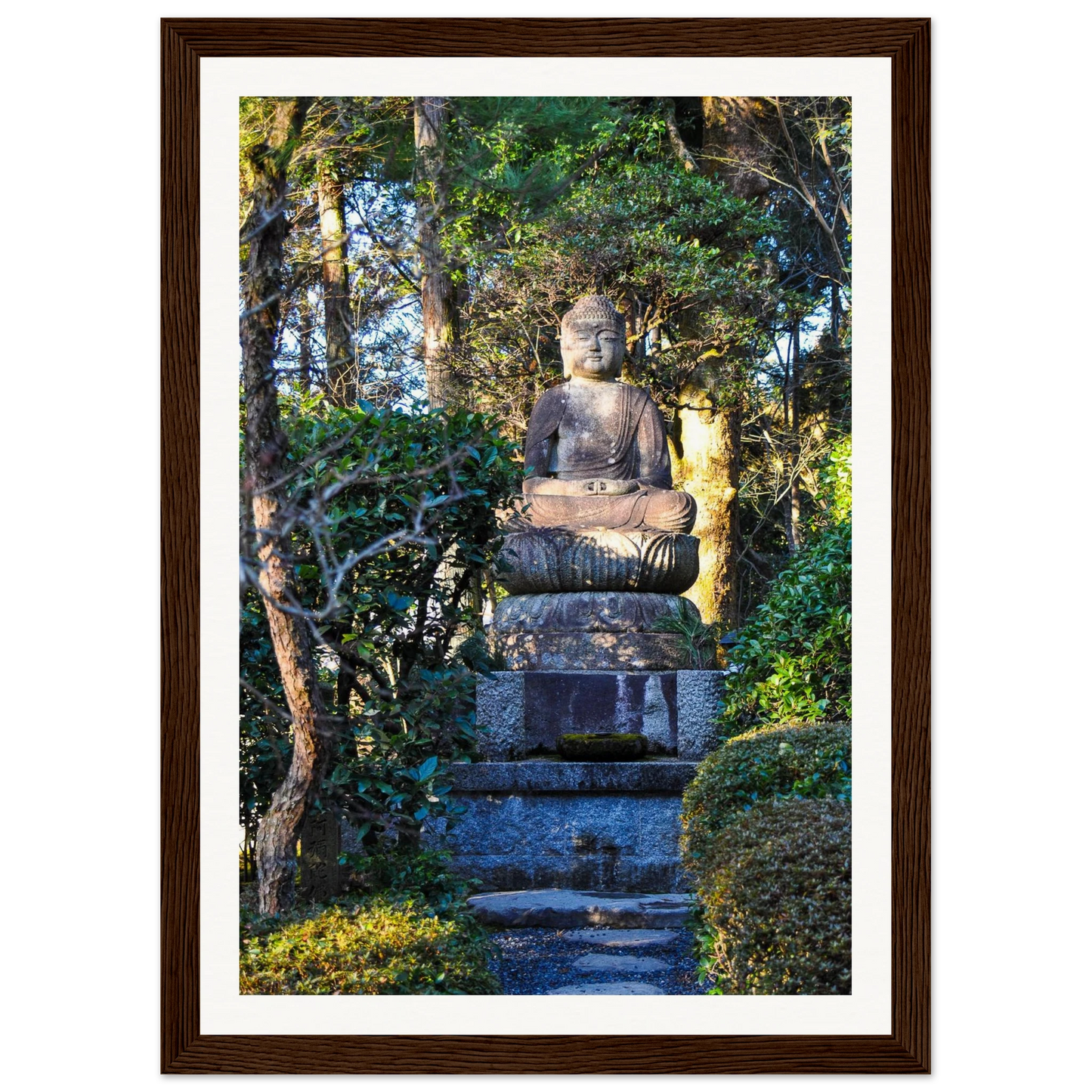 dcc6d180-3fd5-44d4-920d-8d05f790f722