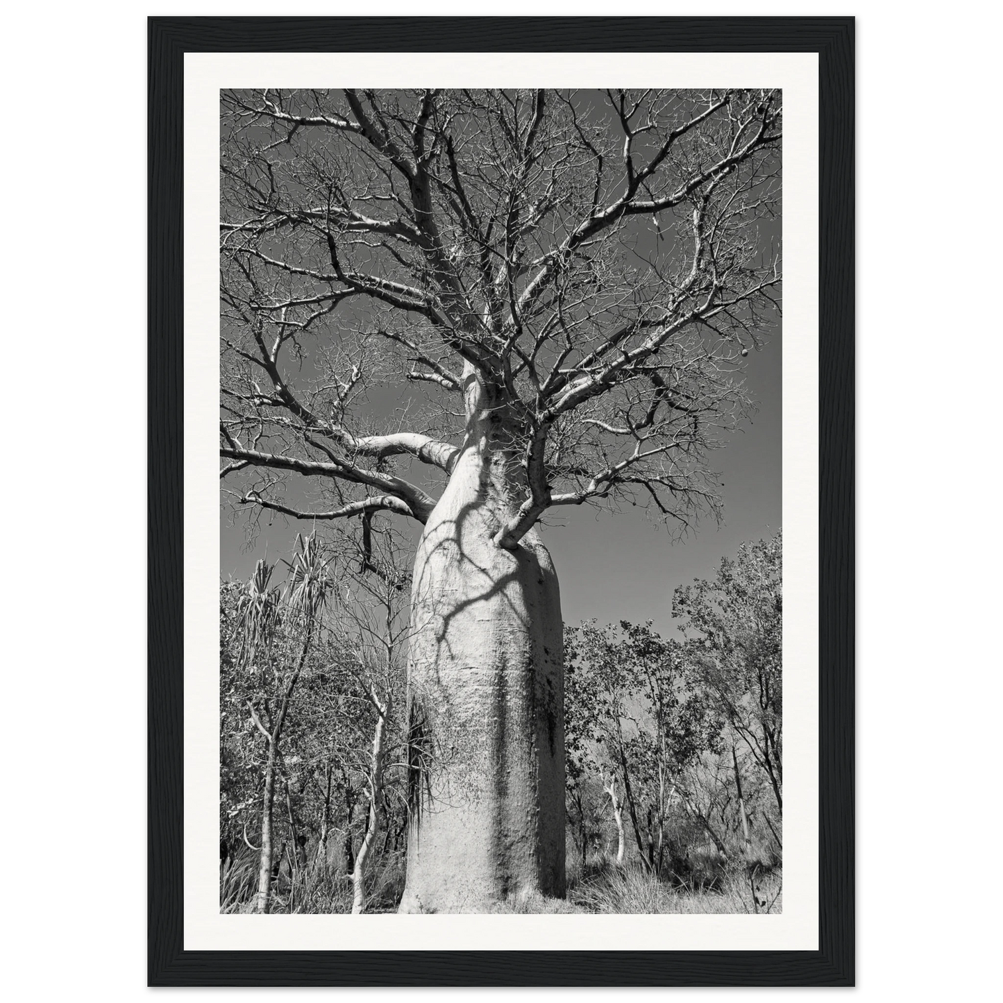 df9e910f-683b-410c-abbc-5607b34b6372