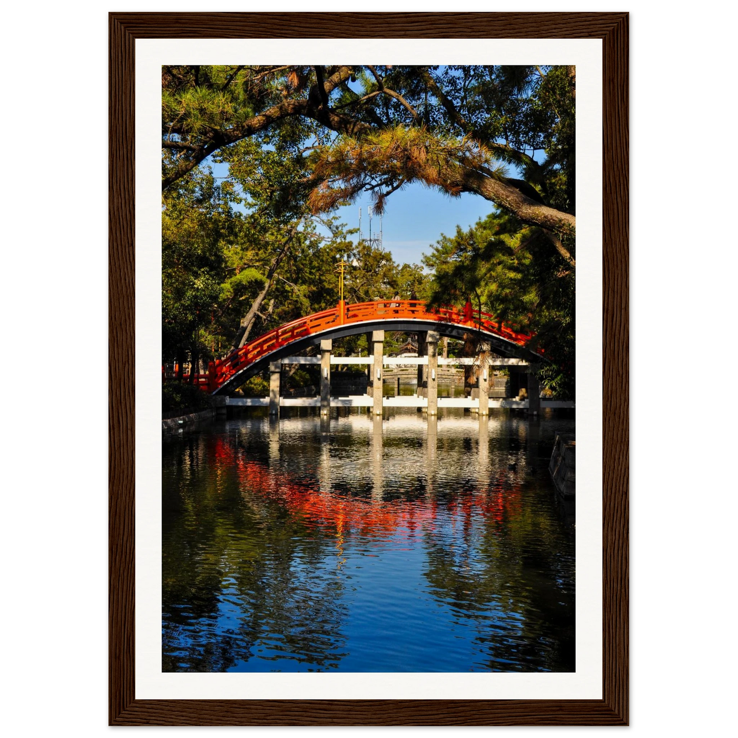 e500e1e9-7f1a-47db-8304-21413b02151c