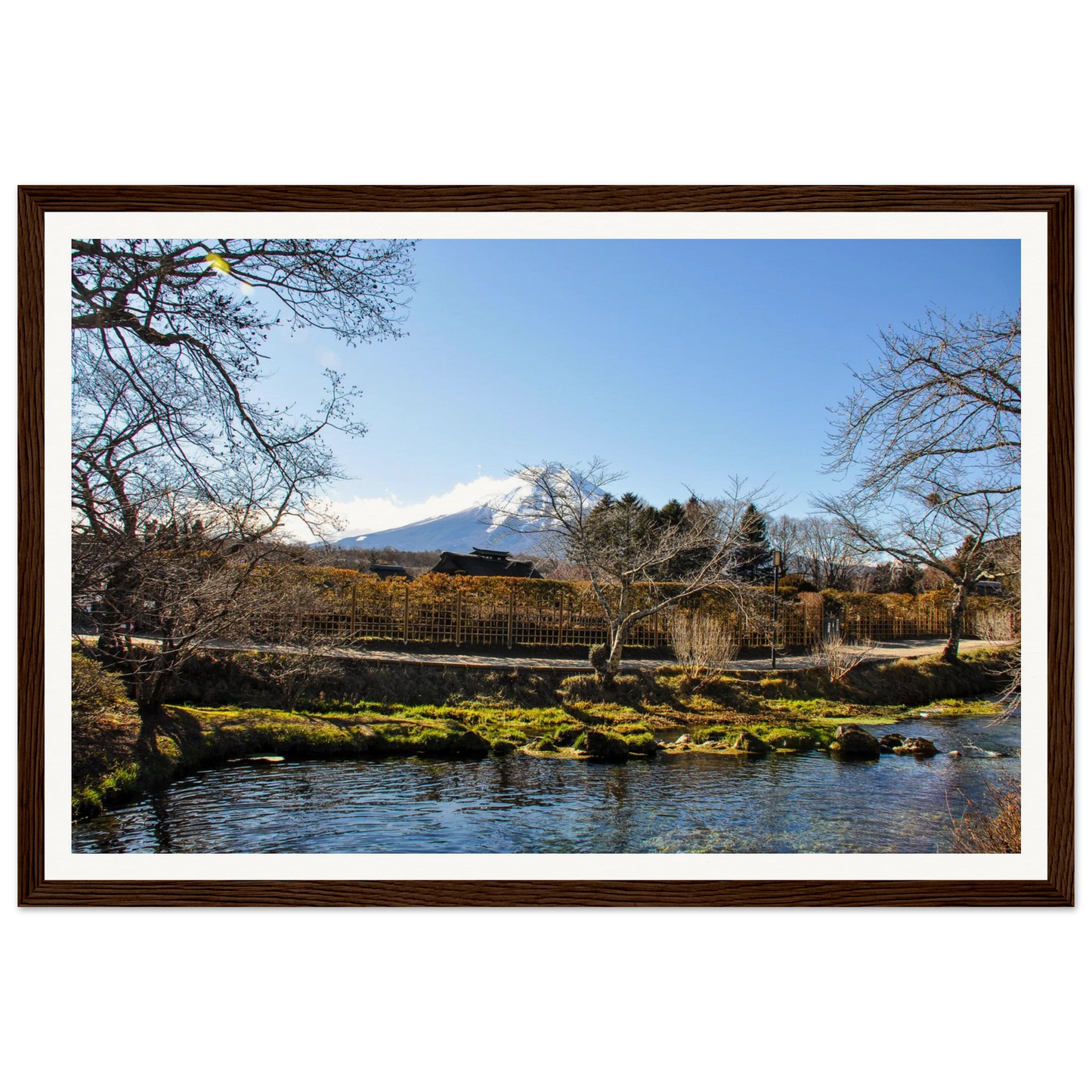 e6005865-3d85-4356-a668-36a6a80e06d0