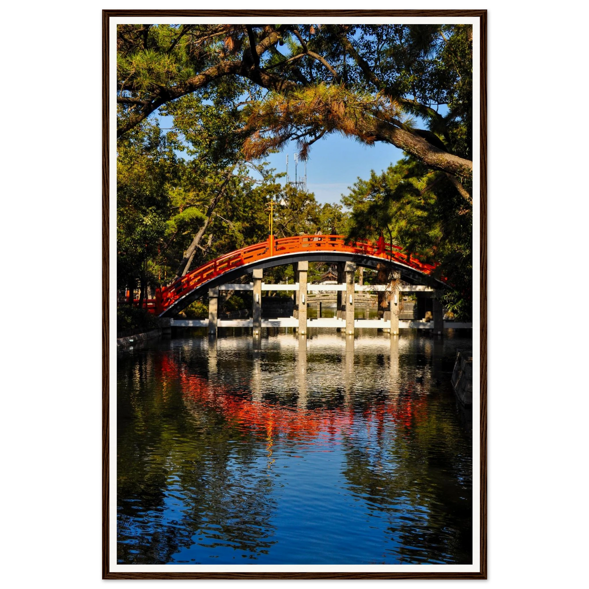 Sumiyoshi Taisha Bridge – Vibrant Japanese Shrine Art. Fine-art photograph of the iconic vibrant red Sumiyoshi Taisha bridge at the Sumiyoshi Taisha shrine, Osaka, Japan. Framed wooden poster · Made-to-order · Free Australia-wide shipping. — Two Fat Bunnies.
