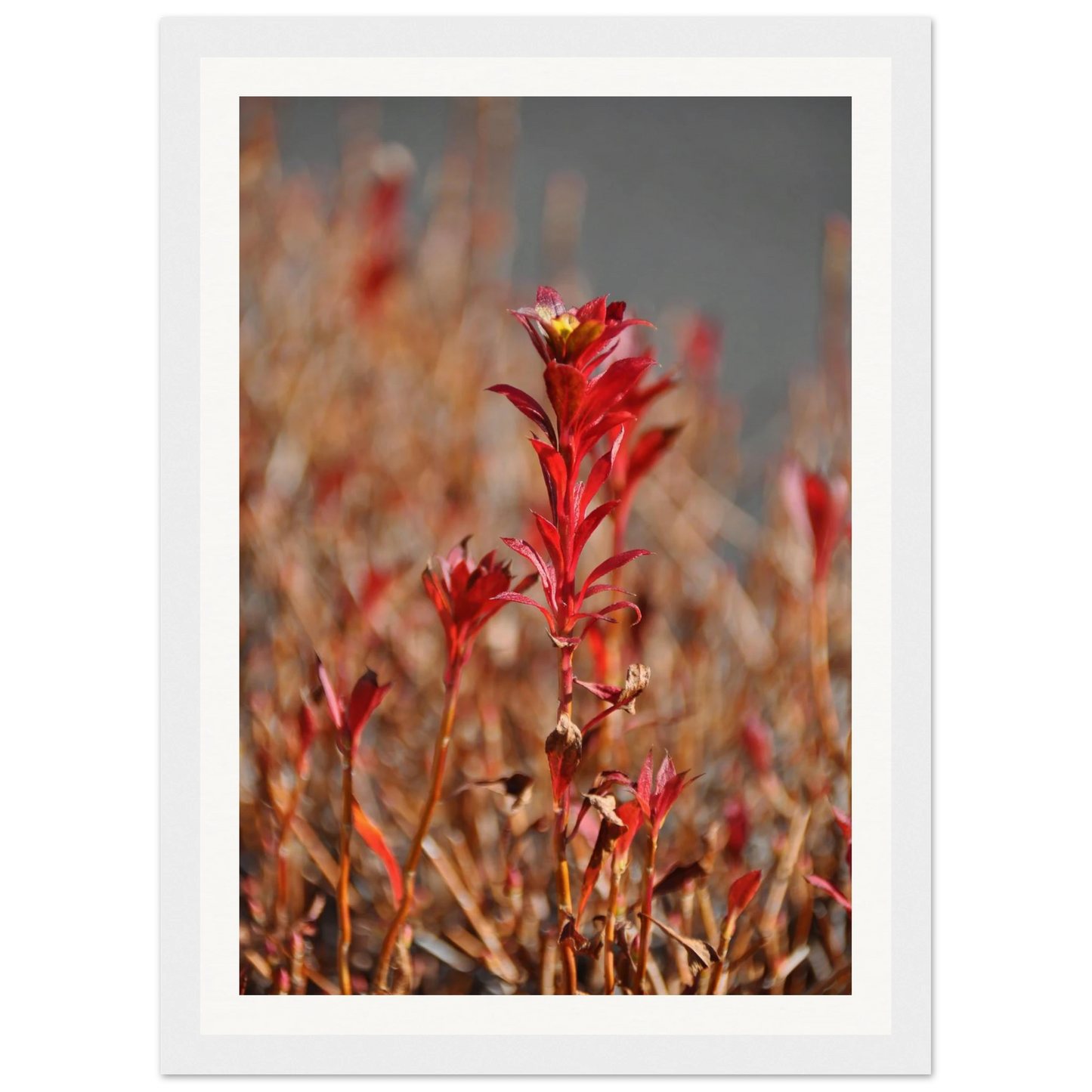 eb0aa1d8-e41d-4c8e-a4ef-ada1a76df7bf