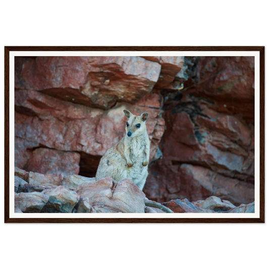 eb542f8b-9b7b-4caa-b429-f38cb3bd2761