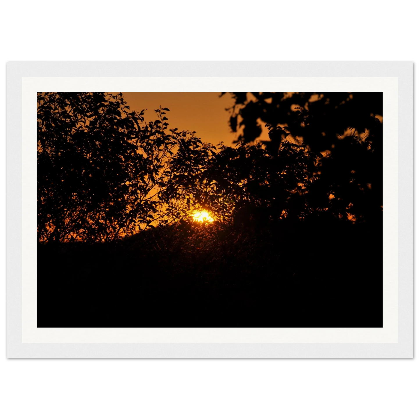 ef8fda56-088b-40f4-a0c0-08dd88727ec5