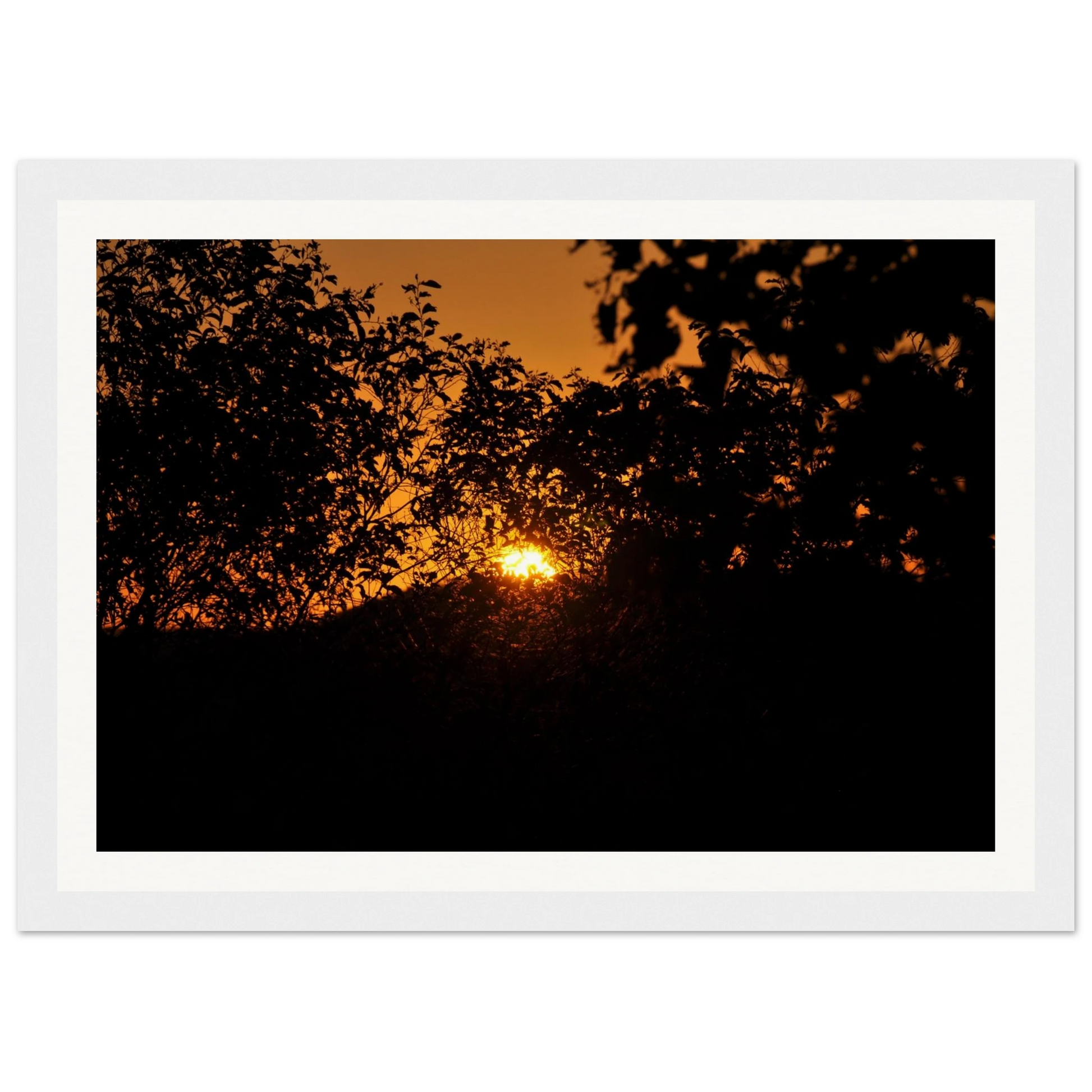 ef8fda56-088b-40f4-a0c0-08dd88727ec5