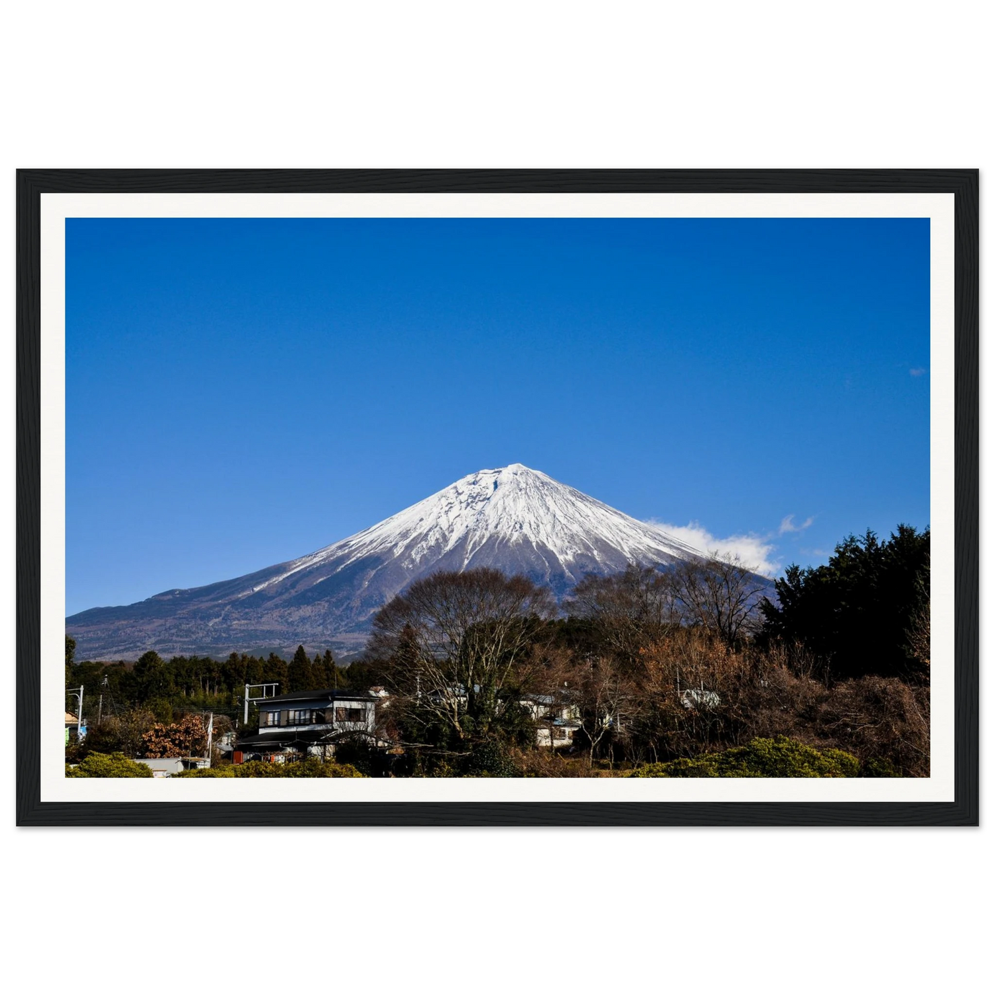 f7352303-1fc9-4882-83c7-f262ca08b693