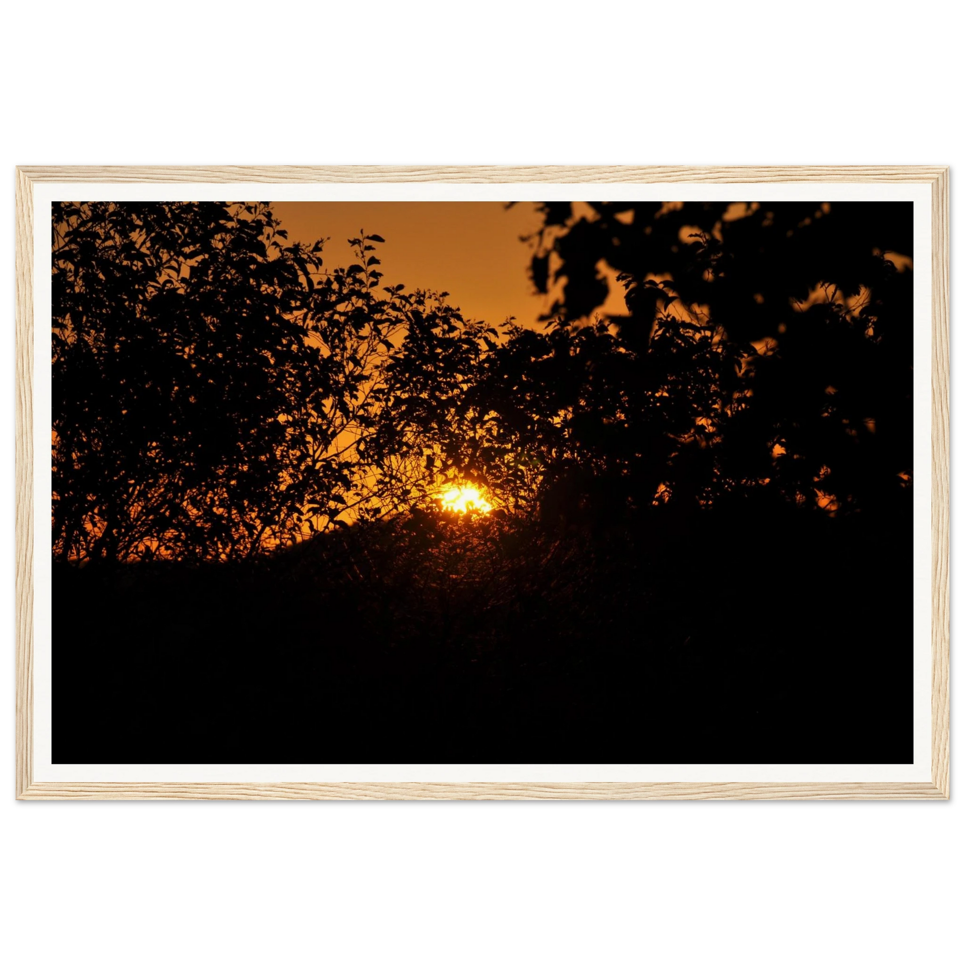 Ember Set at Buddy's Lookout, El Questro. Fine-art photograph of the warm ember-set sunset glow over the Kimberley landscape from Buddy's Lookout, El Questro Wilderness Park, Western Australia. Framed wooden poster · Made-to-order · Free Australia-wide shipping. — Two Fat Bunnies.