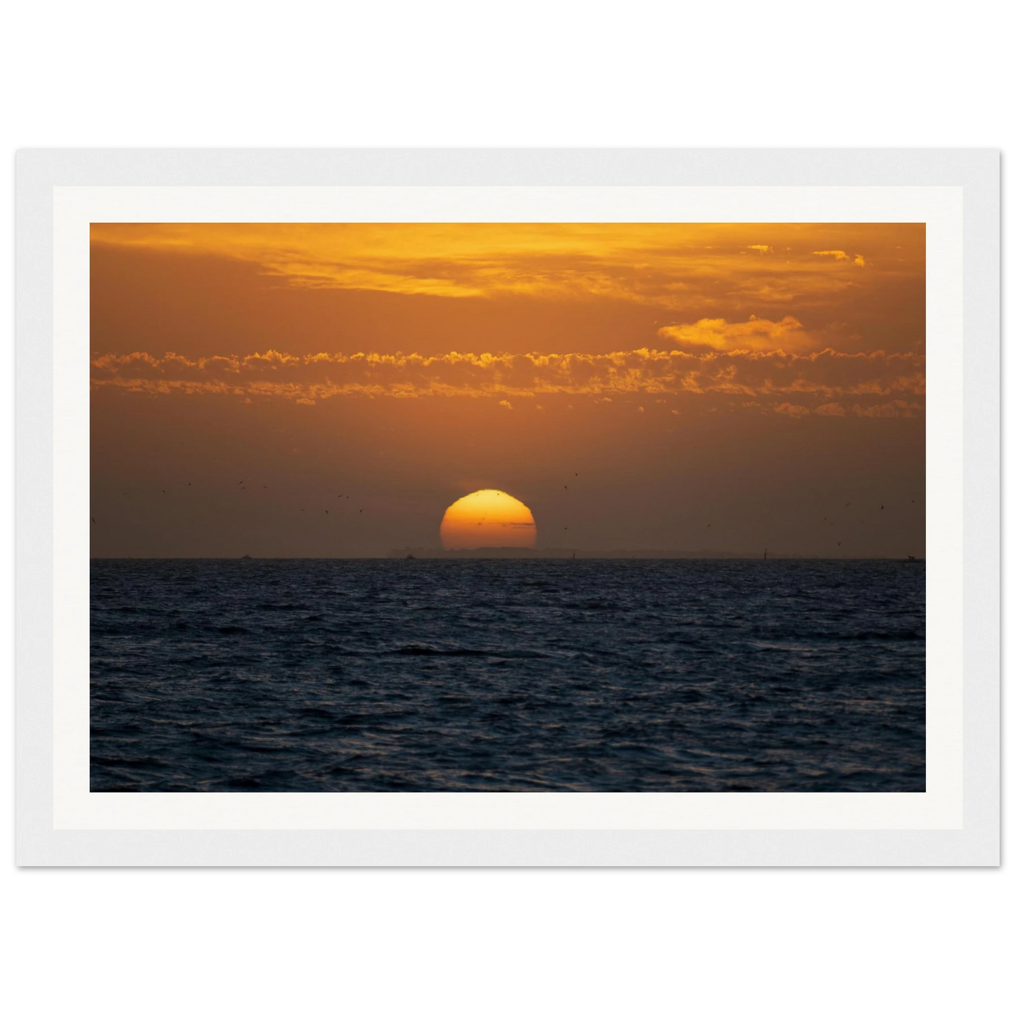 fc771379-e5a8-48e8-84c9-b0b6c84b3853