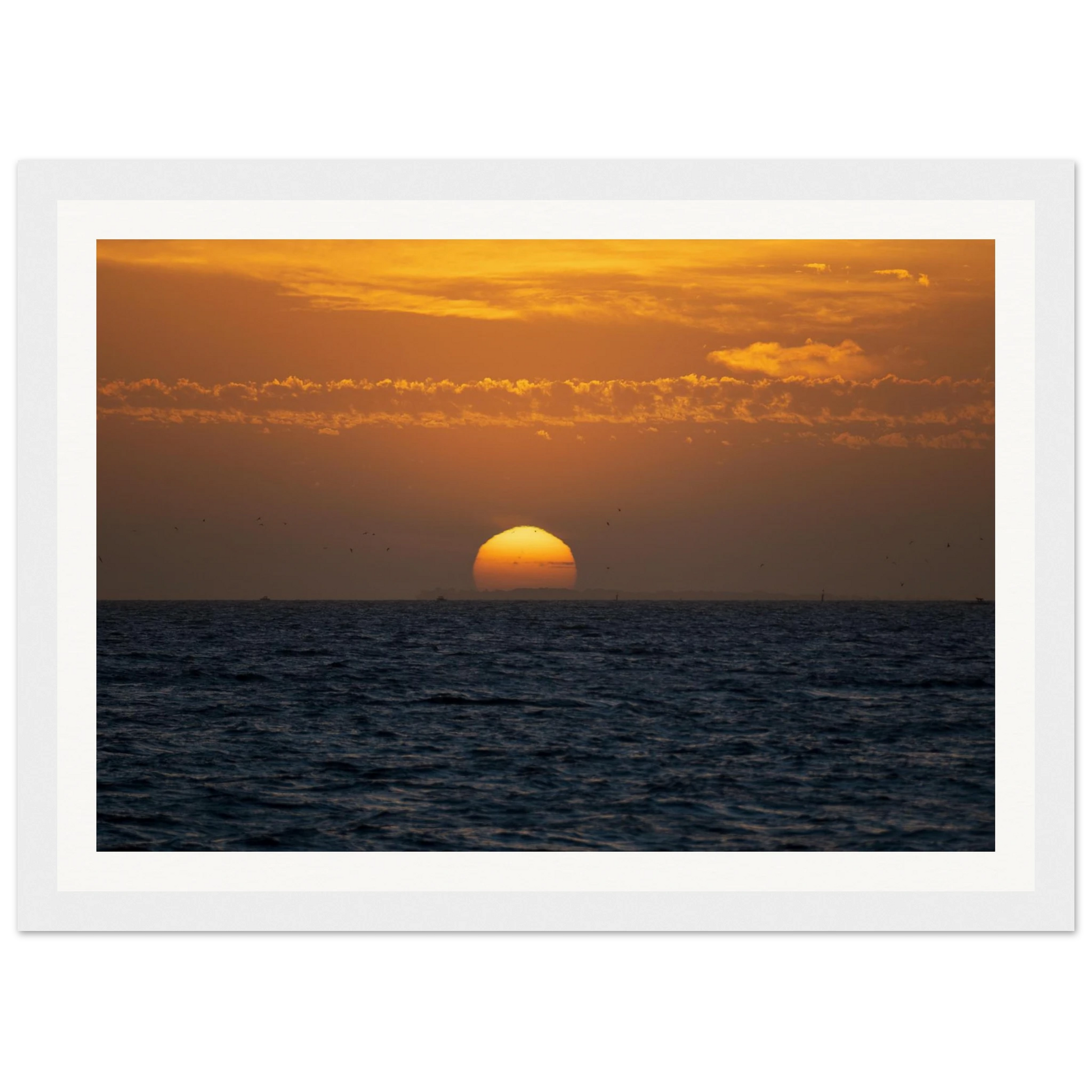 fc771379-e5a8-48e8-84c9-b0b6c84b3853