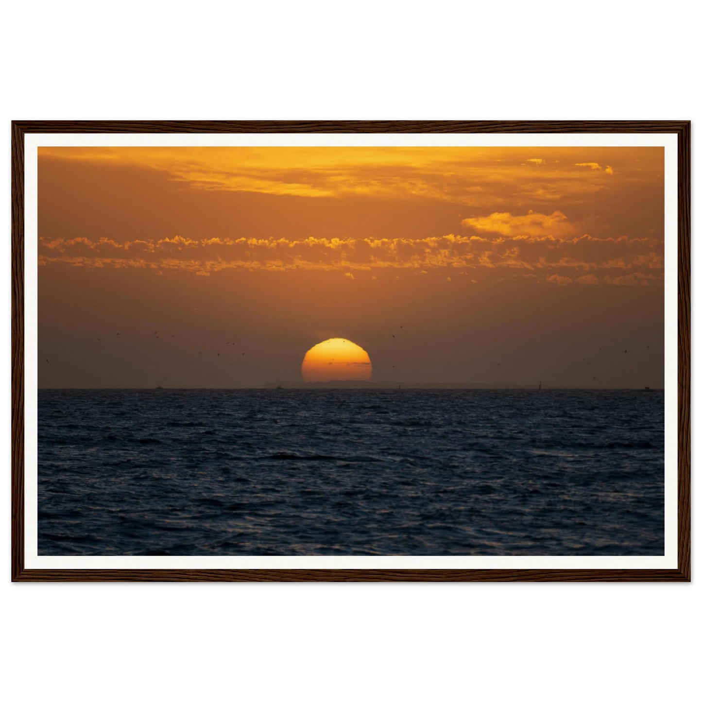 fc872f12-25e2-4e56-8ac8-0c2c70eb613d