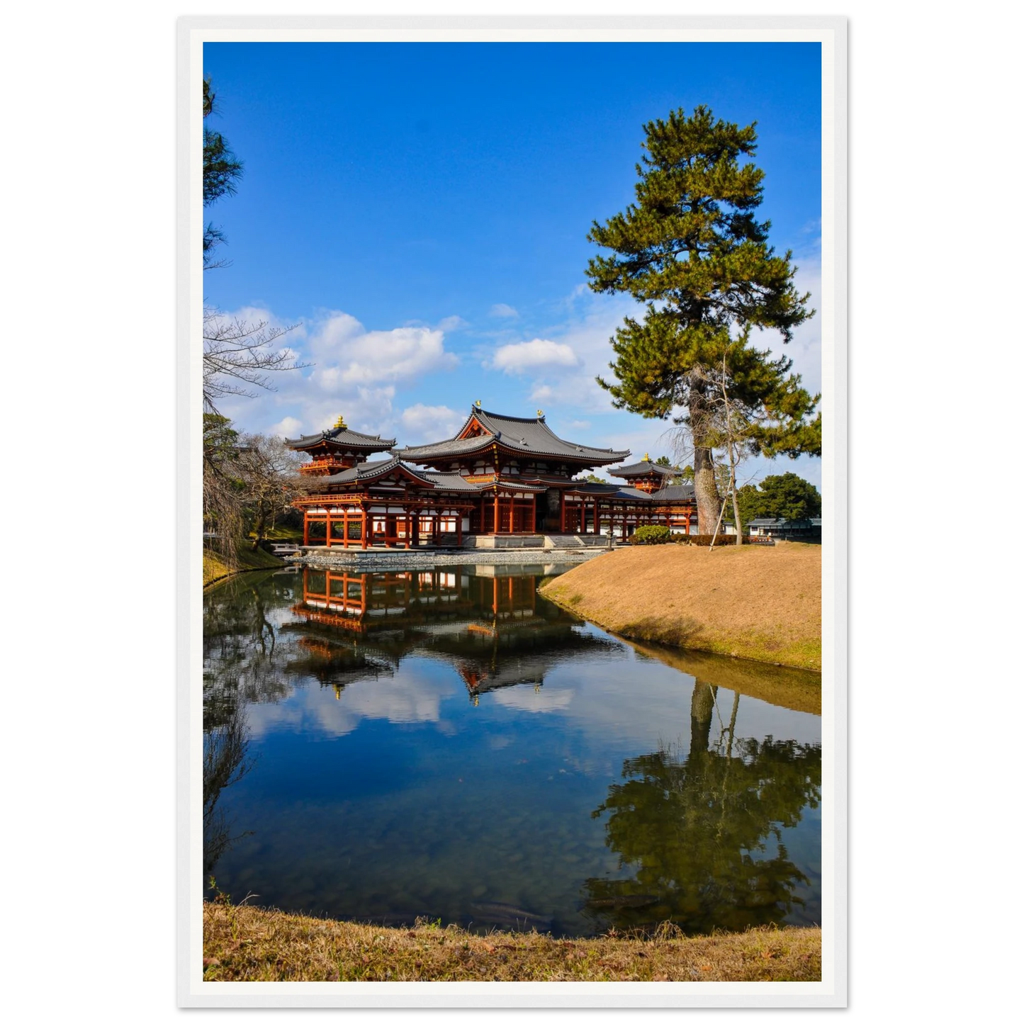 fe03f313-05c2-47a9-840a-02cf22e2f48d