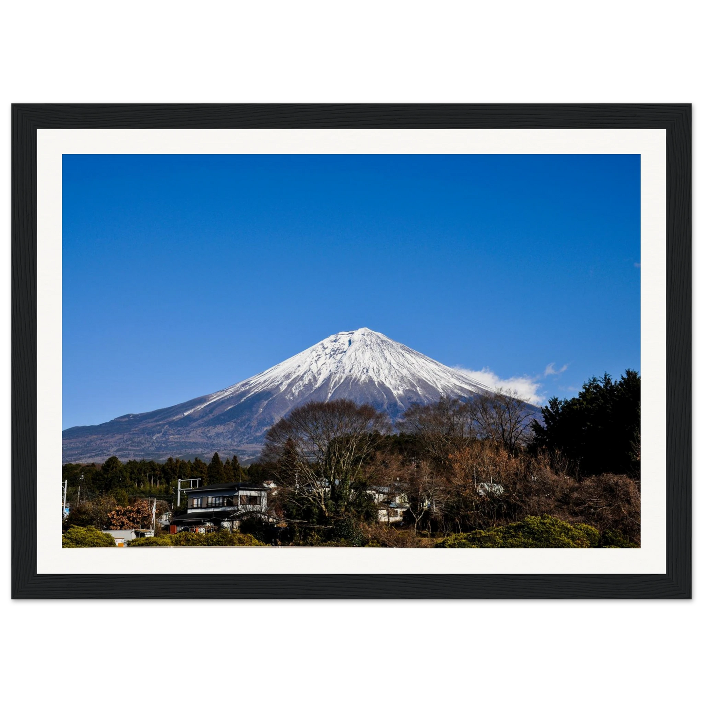 fef135b1-a3ec-4c9f-a38c-66a5536fe664