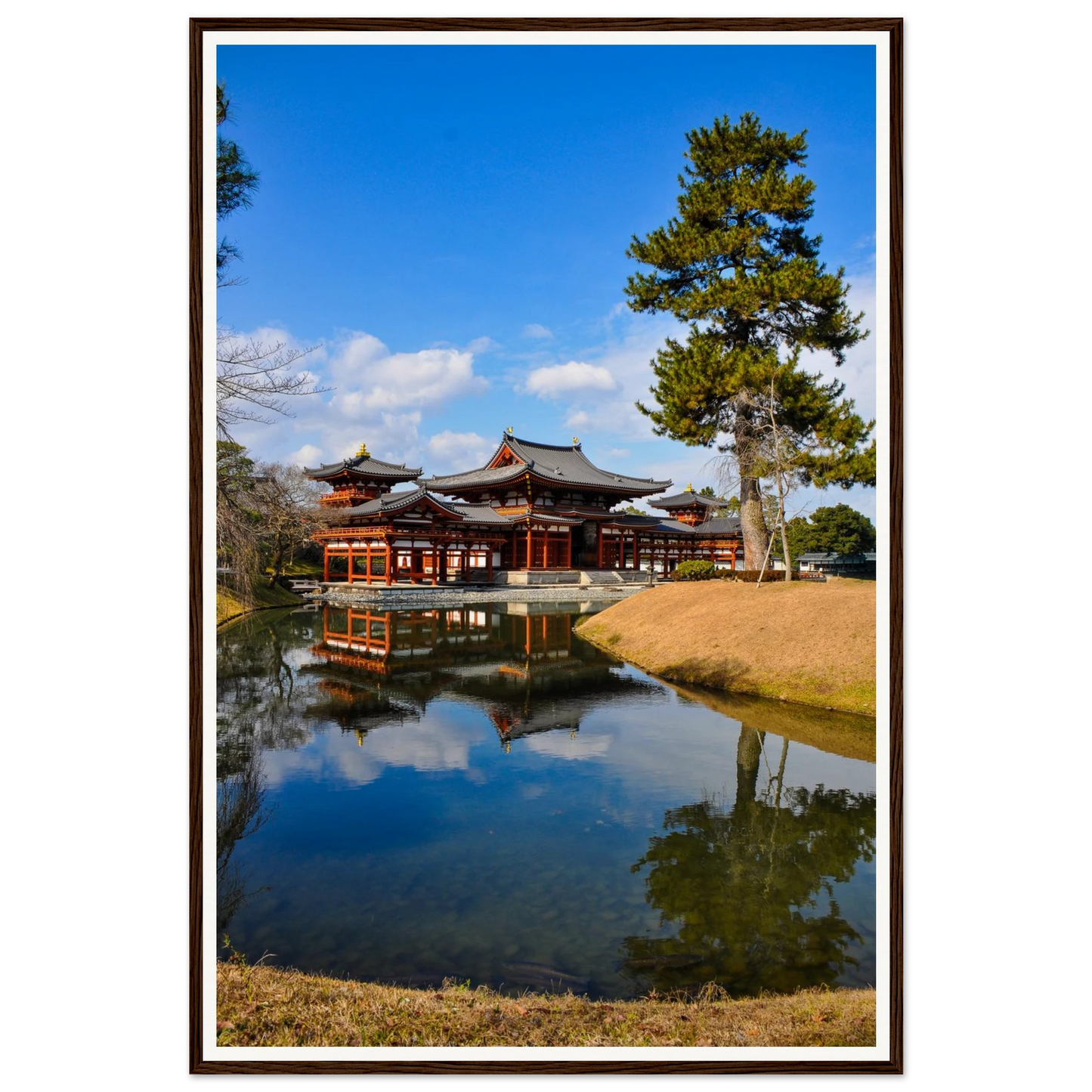 ffed743c-e96e-4269-8a36-30fb6eb9e6d5