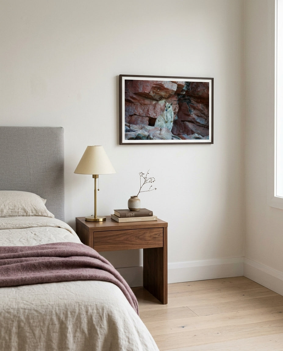 Resident of the Red Cliffs — Rock Wallaby, Lake Argyle, framed above a bedside reading nook — linen-upholstered headboard, walnut side table, brass reading lamp, dark wood frame. — Two Fat Bunnies.