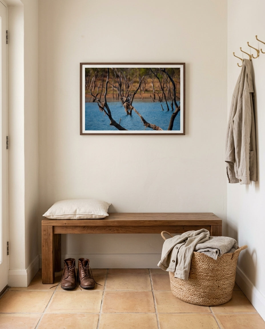 Snakebird Stillness — Australasian Darter at Lake Argyle, framed above a low bench in a peaceful entry vestibule — cream linen cushion, woven basket, ceramic dish, dark wood frame. — Two Fat Bunnies.