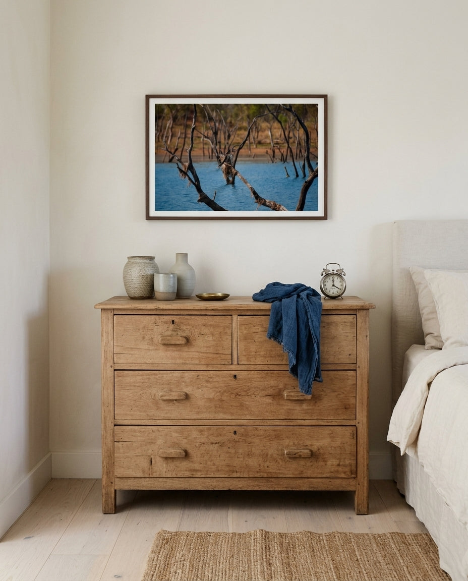 Snakebird Stillness — Australasian Darter at Lake Argyle, framed above a master bedroom dresser — oak drawers, ceramic lamp, folded linen, dark wood frame. — Two Fat Bunnies.